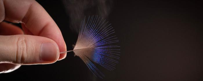 BVLGARI寶格麗發布全新Divas` Dream Peacock Marquetry腕表